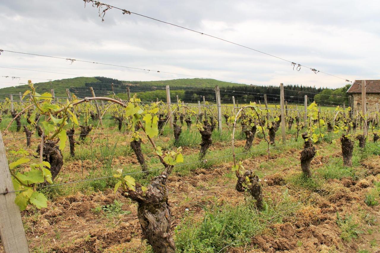 Domaine Joseph Lafarge Wine Resort Winemaker House La Maison Du Negociant Lugny ภายนอก รูปภาพ