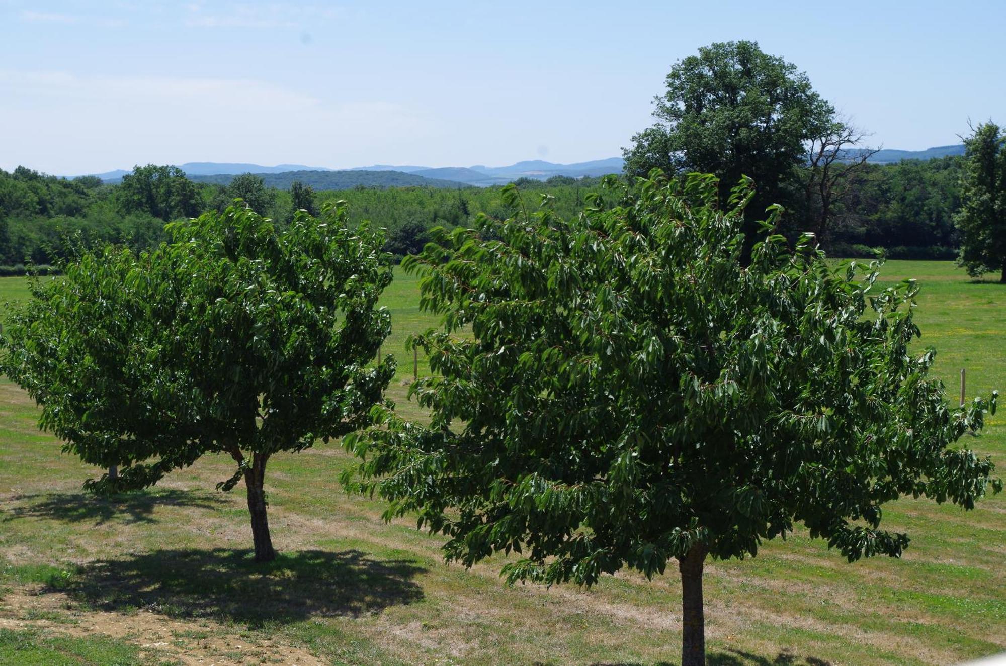 Domaine Joseph Lafarge Wine Resort Winemaker House La Maison Du Negociant Lugny ภายนอก รูปภาพ