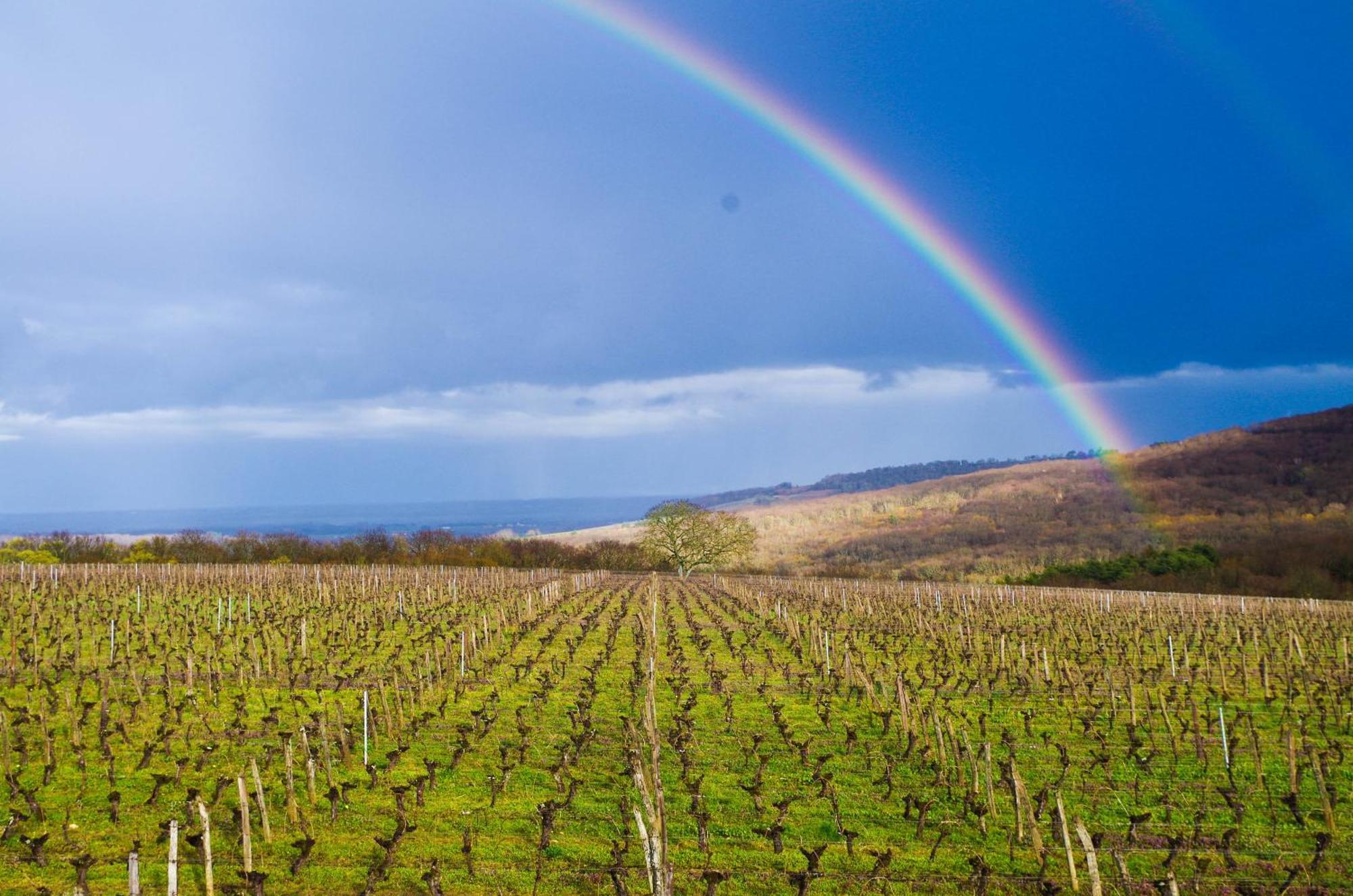 Domaine Joseph Lafarge Wine Resort Winemaker House La Maison Du Negociant Lugny ภายนอก รูปภาพ