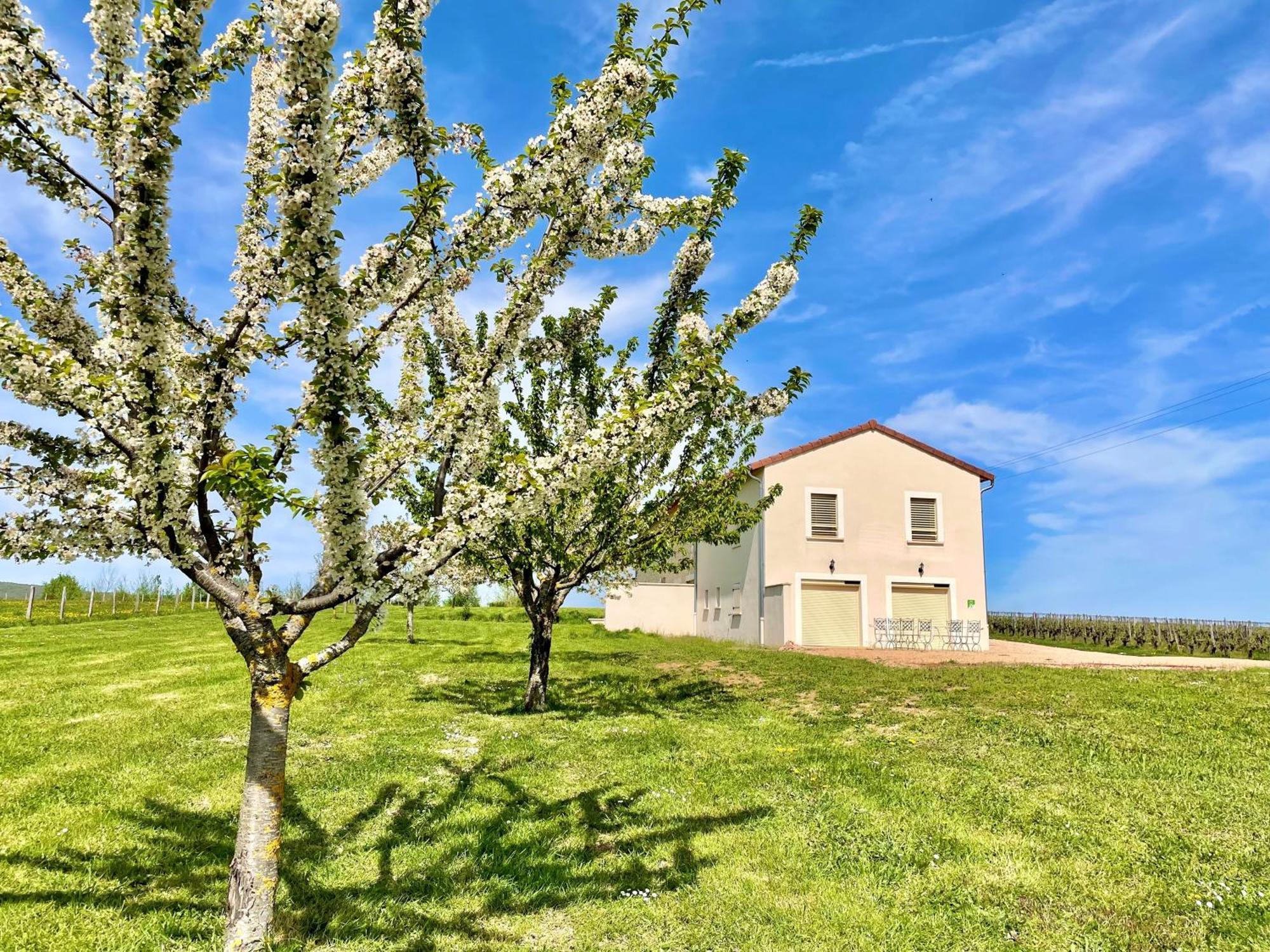 Domaine Joseph Lafarge Wine Resort Winemaker House La Maison Du Negociant Lugny ภายนอก รูปภาพ
